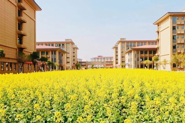 修水中等专业学校开展校企合作,深化产教融合,助力学生职业发展